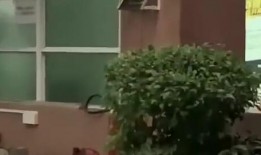 台山吃瓜最新事件爆料新闻,最新爆料揭露惊人内幕