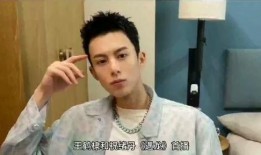 杨迪爆料王鹤棣视频播放