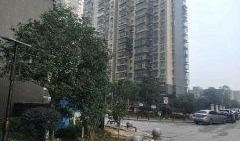 新宇星城爆料事件最新,揭秘背后真相与争议