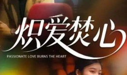 炽爱在线观看,跨越时空的浪漫邂逅
