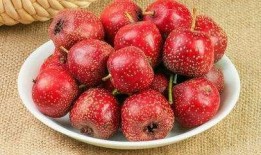 山楂加工爆料视频播放下载,从采摘到成品，一探究竟