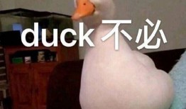 鸭子最新爆料