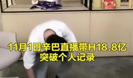 辛巴爆料假燕窝视频,揭秘网红产品背后的真相