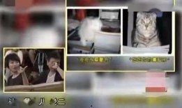 主播康辉爆料视频大全集,揭秘幕后故事与真实人生