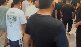 茶叶爆料视频,视频爆料带你走进神秘茶世界