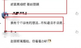 荷兰回应内讧视频爆料网,官方回应与真相揭秘