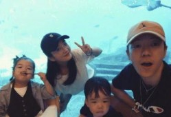 小鹿离婚爆料视频大全最新,揭秘娱乐圈婚姻真相