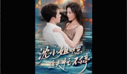 小姐在线观看完整版