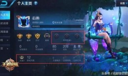 王者爆料君主播是谁呀视频,揭秘背后神秘主播身份