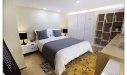 光寓最新爆料,揭秘科技巨头背后的秘密与未来趋势