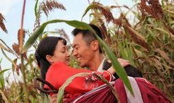 红高梁在线观看,烽火岁月里的爱情与抗争