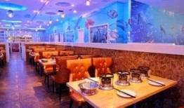 天津餐厅爆料视频大全,一网打尽热门餐厅幕后故事