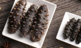 烟台海参爆料视频最新一期,揭秘海参行业潜规则，最新一期视频深度解析