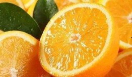 老橙子最新爆料视频