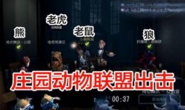 电竞小黄鸭爆料视频,揭秘电竞圈幕后风云