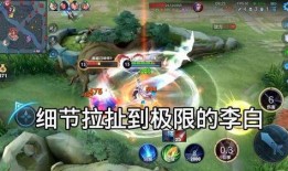 流萤技能最新爆料视频,揭秘神秘技能背后的奥秘与亮点