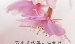 爆料新闻正能量的句子,揭秘爆料新闻中的感人瞬间