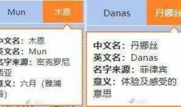 最新台风爆料新闻视频大全,视频大全揭示风雨肆虐下的惊心动魄