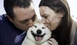 娱乐吃瓜酱最幸福的狗狗,揭秘最幸福的狗狗生活