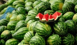 网红电梯吃瓜,揭秘网络红人的“瓜田”生活