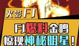 爆料火影主播视频大全集,视频大全集深度解析