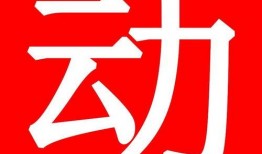 爆料酒的制作视频教程,解锁美味佳肴新境界