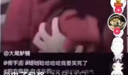 包浆爆料视频下载免费,免费下载背后的秘密与技巧