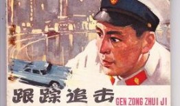 电影跟踪追击在线观看,惊心动魄的追击之旅