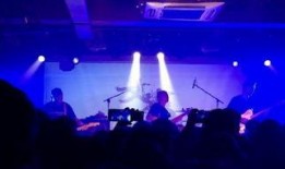 文雀粤语在线观看,揭秘经典港片魅力