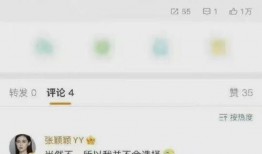 最新爆料彭小冉是谁啊图片,揭秘网络热议人物背后的故事