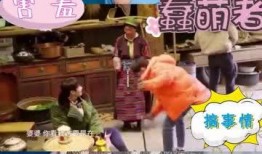 小汤圆被爆料视频大全,揭秘网络舆论背后的真相