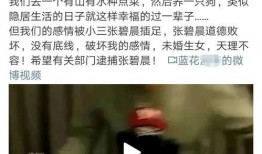 吃瓜娱乐营销号,揭秘娱乐圈幕后营销大揭秘