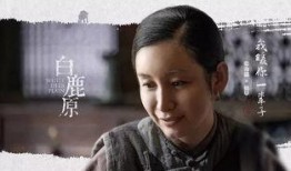 白鹿原电视剧全集在线观看,穿越历史的长河，探寻家族兴衰之谜