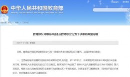 高校教师爆料案例大全最新,揭秘教育行业背后的真相与挑战