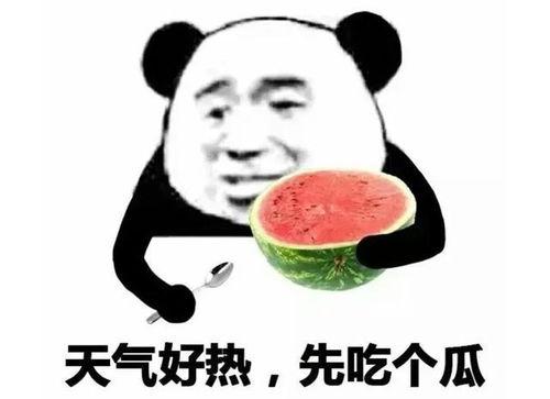 吃瓜表情包 震惊,揭秘吃瓜背后的文化现象